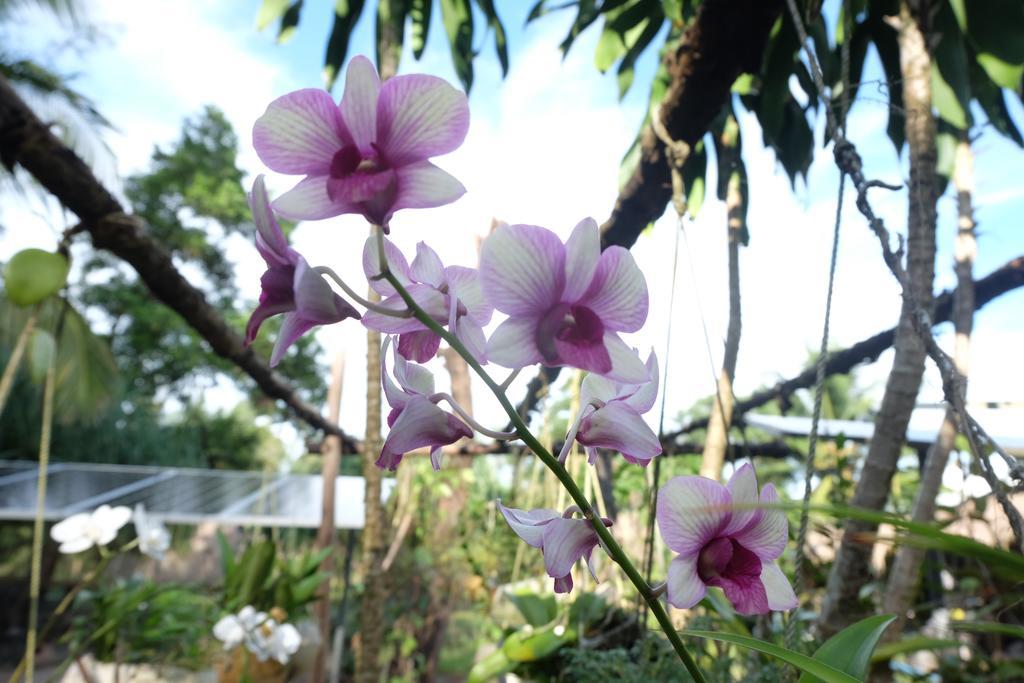Hotel Mr. Chuoi Bar And Hut Ko Phra Thong Esterno foto